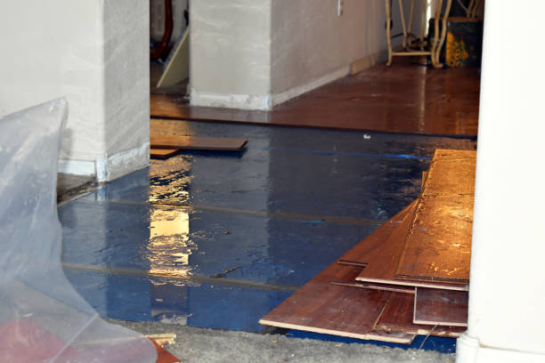 Professional Burst Pipe Cleanup technician working in Villa Maria, PA